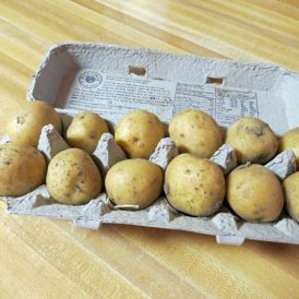 Potatoes and Sustainability Image